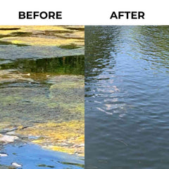 Nature's Pond Conditioner Spring & Summer