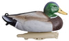Duck Decoy